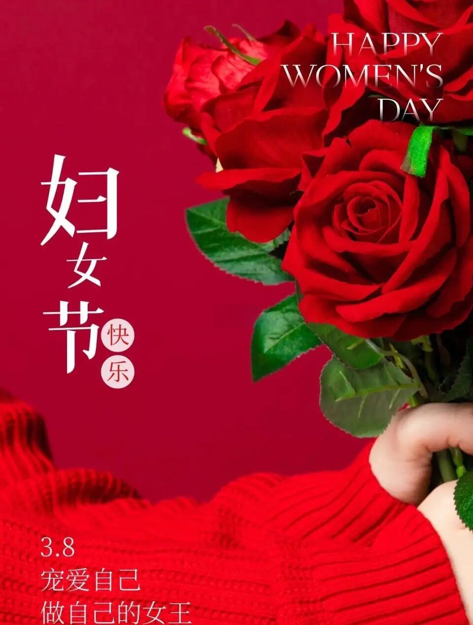 玫瑰盛开，芬芳扑鼻人人动容