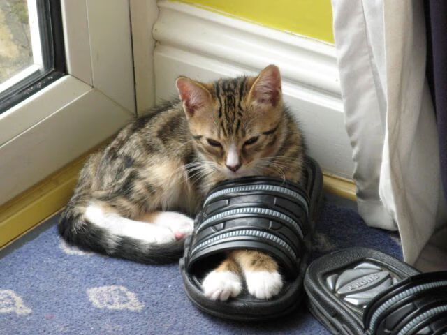 万箭穿心，火箭火力覆盖北京；重焕新生，爱德华兹一战封神