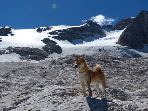 轰塌北欧堡垒!阿坎吉进攻端无人可挡,苏格兰强势晋级瑞典
