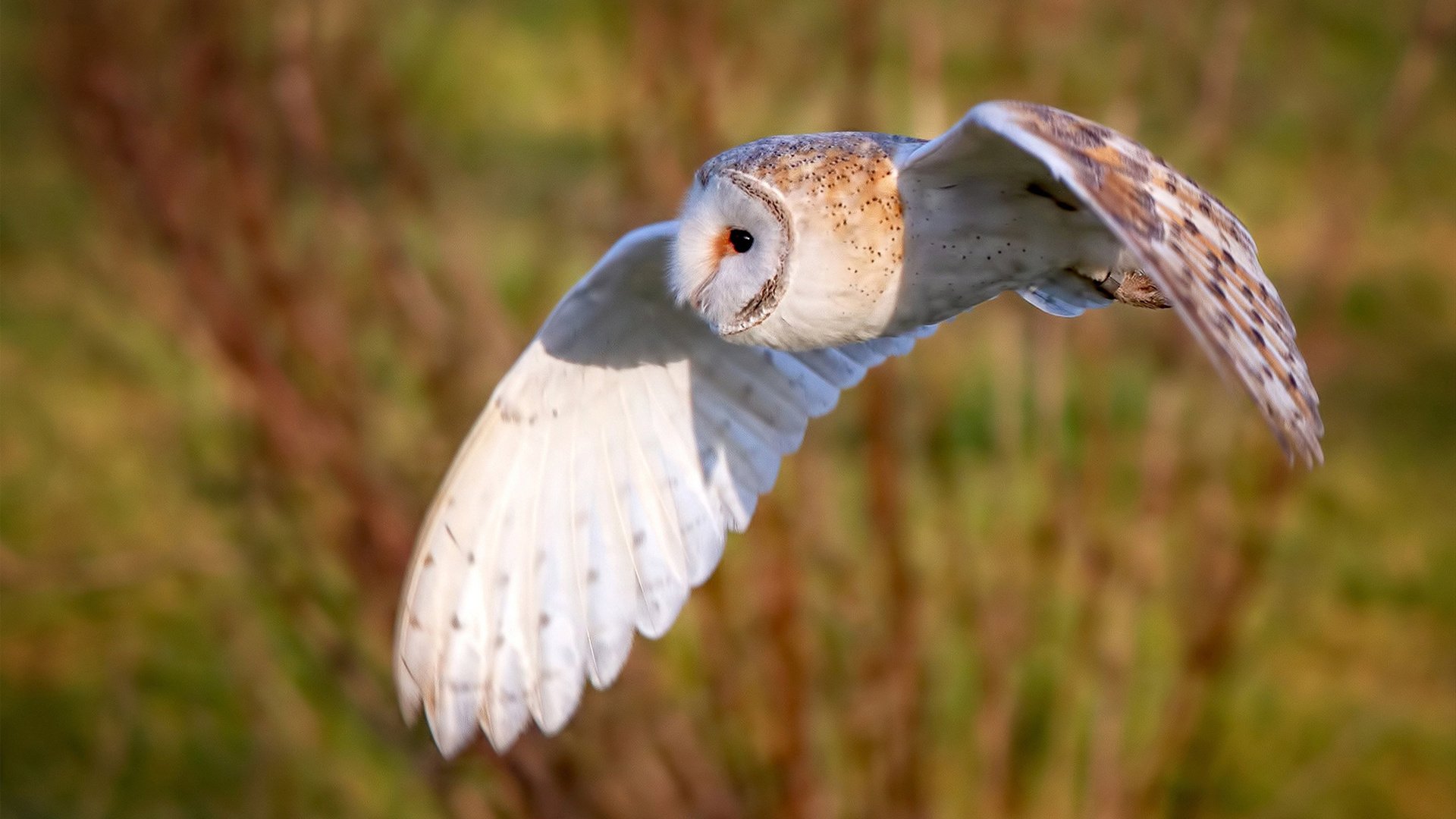 超越想象的融合之战，广东队碾压尼克斯，詹姆斯化身关键先生改写剧本