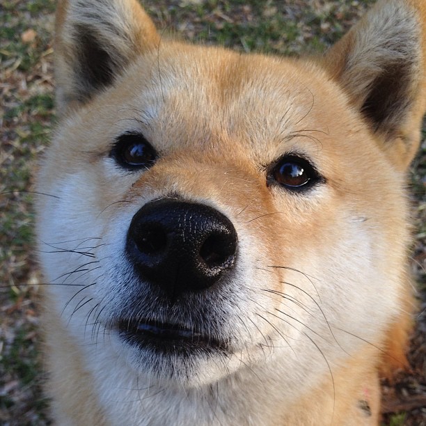 双线逆转，从雷霆到杜兰特，篮球世界的不败意志