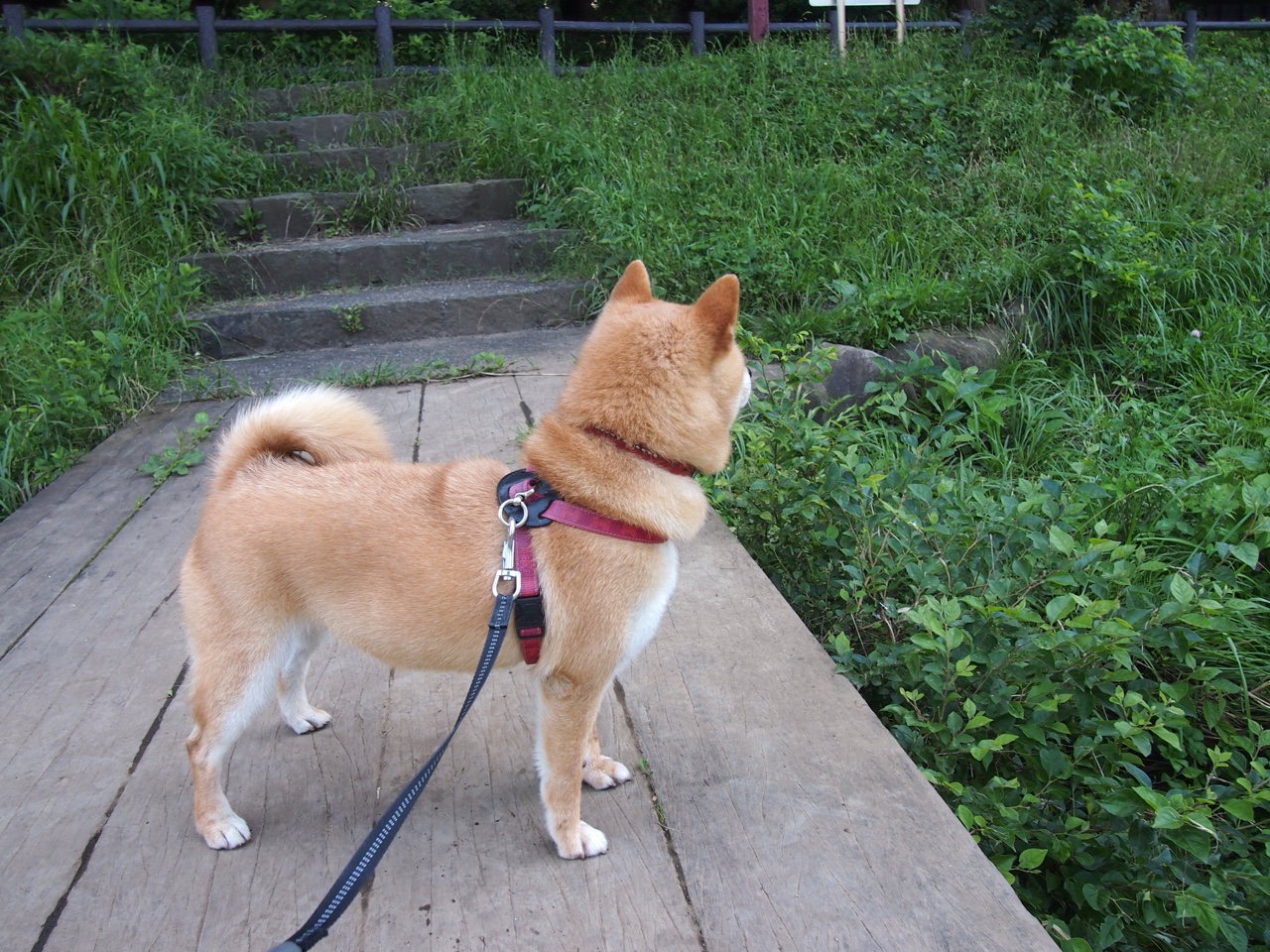 浙破蜂群，贝恩神迹助浙江队争冠战突围