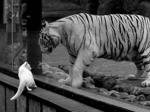 开云体育登录-遗忘之后，爱德华兹在新奥尔良完成自我救赎