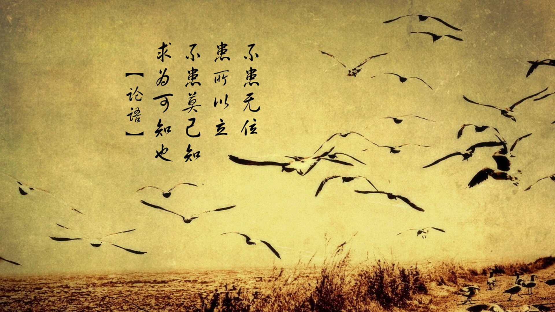 德甲争冠战之夜,小贾伦横空出世主宰全场