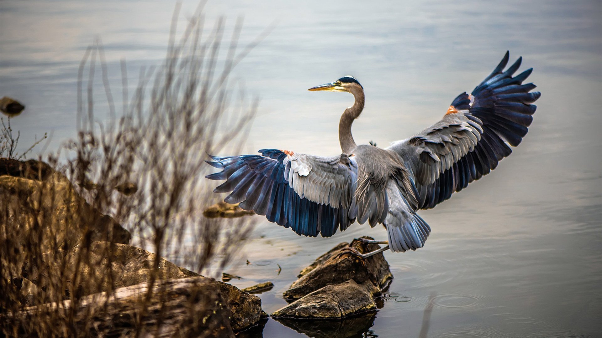 莫德里奇式魔法点燃友谊赛，委内瑞拉与土耳其的跨洲对决