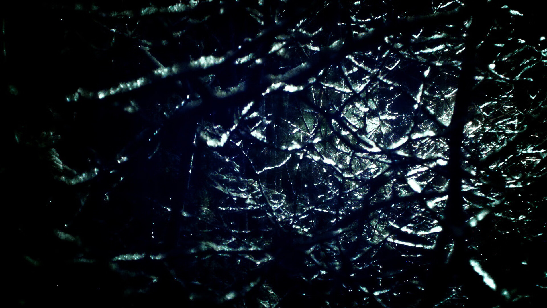 约基奇降维打击,当76人遇见辽宁队,他如何用45分钟完成一场篮球教学