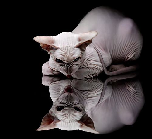 铁网锁狂澜，关键先生破坚冰，利物浦防守艺术与福登的闪耀时刻