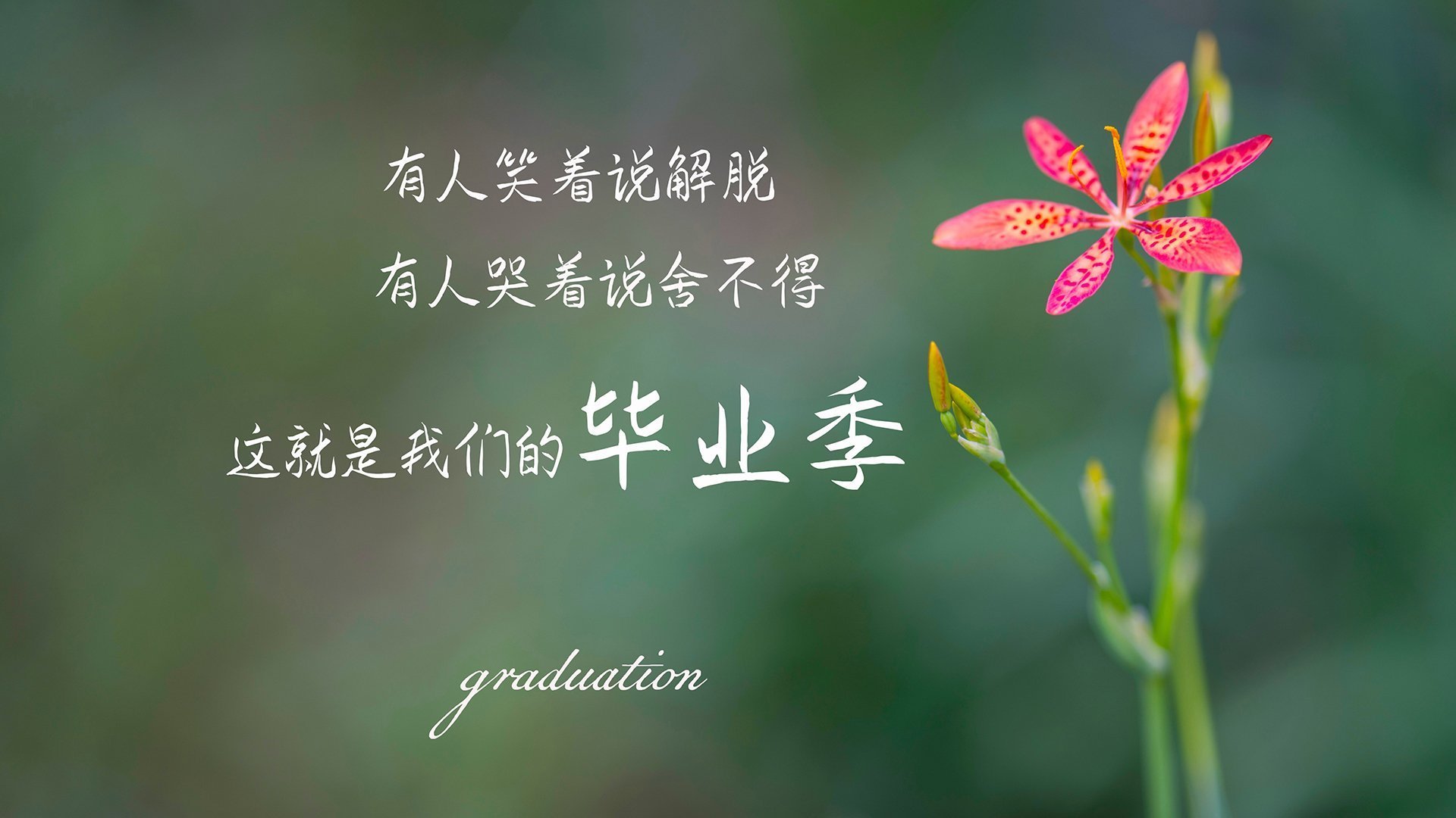 铁幕与利刃，姆巴佩的个人风暴与荷兰的团队博弈