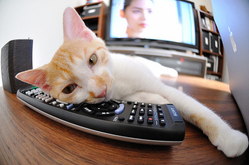 开云体育在线-爱尔兰绝境突围，巴尔韦德爆发定乾坤