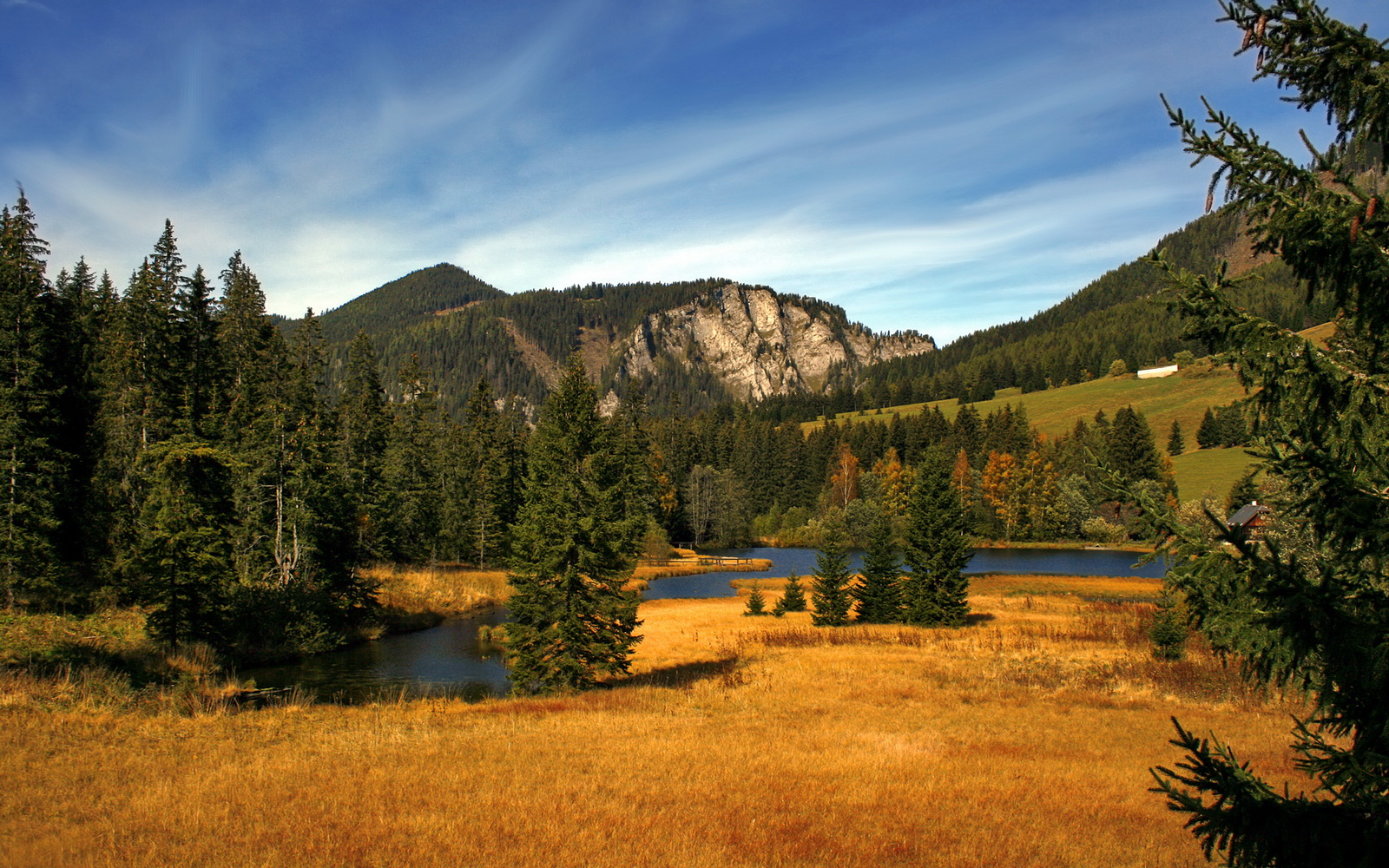 赛道上的南非奇迹,一位年轻车手如何一波带走瑞士引擎神话