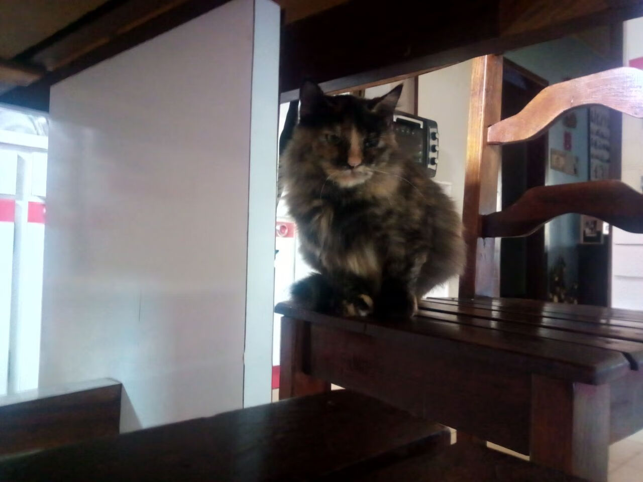 赛道上的降维打击,当奇才以智慧与技术,在钢铁丛林中碾压骑士的荣耀