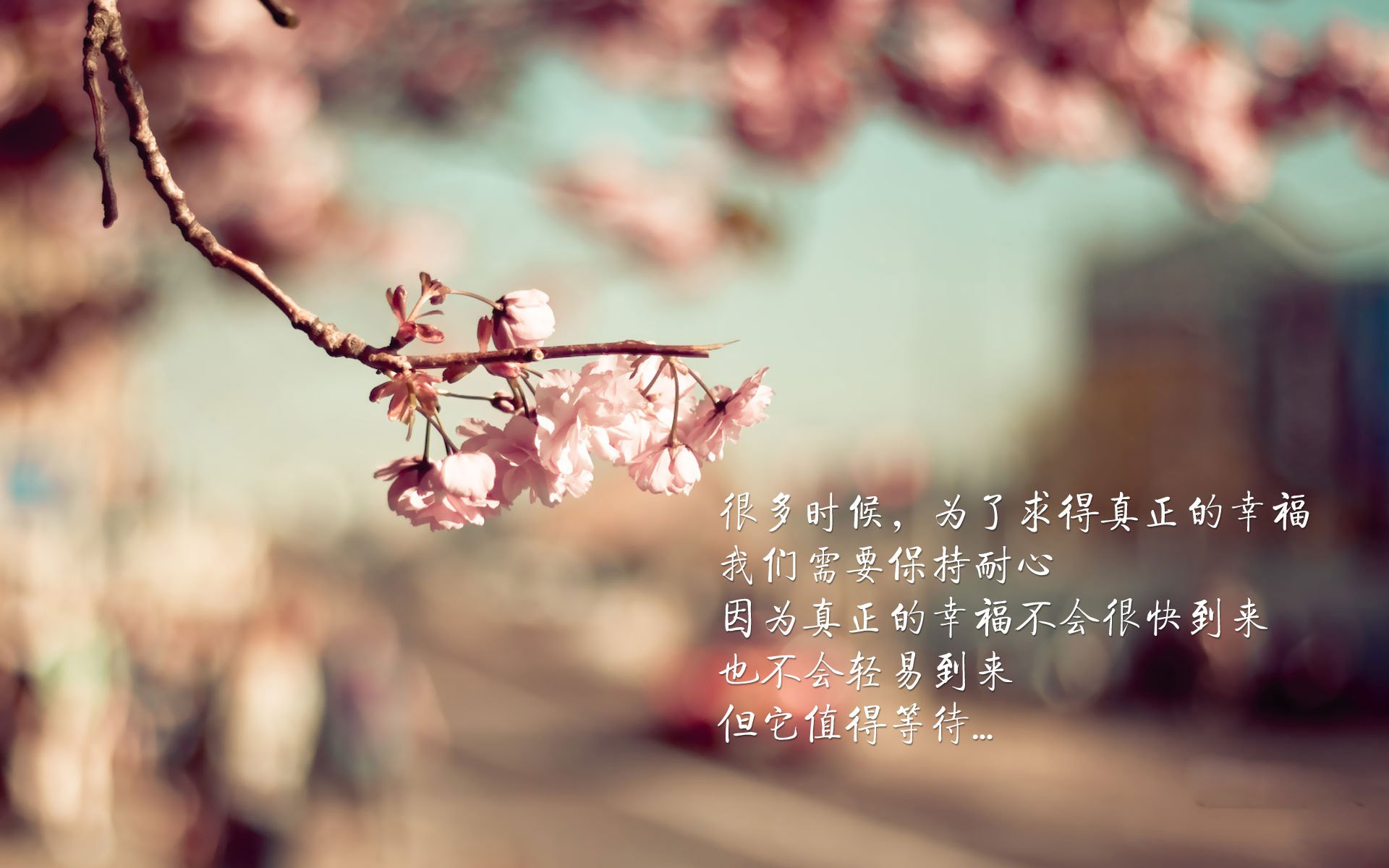 开云体育登录-阿克超神之战！拜仁对阵韩国友谊赛，后防核心发挥堪称完美