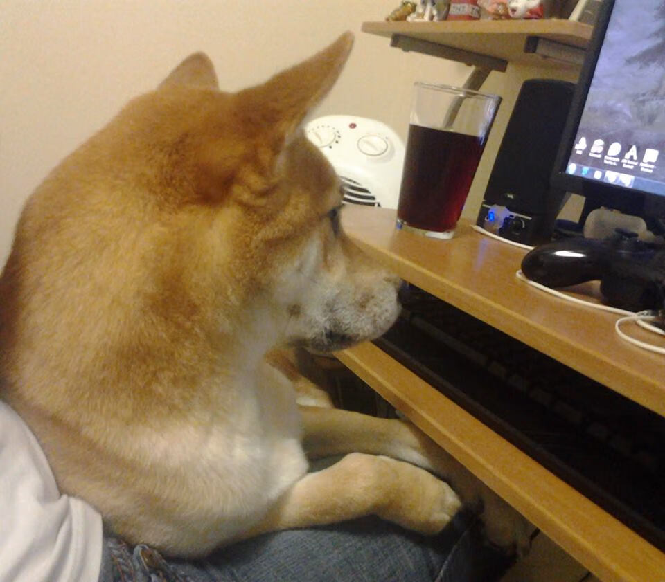 开云体育平台APP-关键先生奥利维耶闪耀，比利亚雷亚尔掀翻爱尔兰