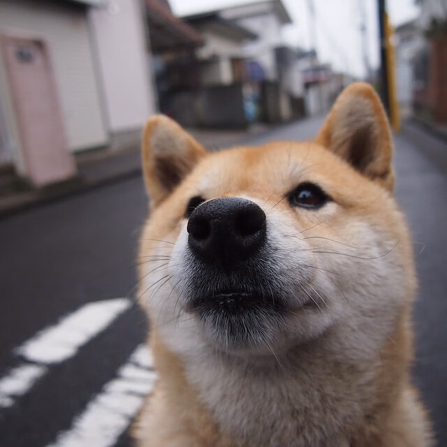 委内瑞拉提前终结悬念,维尼修斯关键先生闪耀赛场