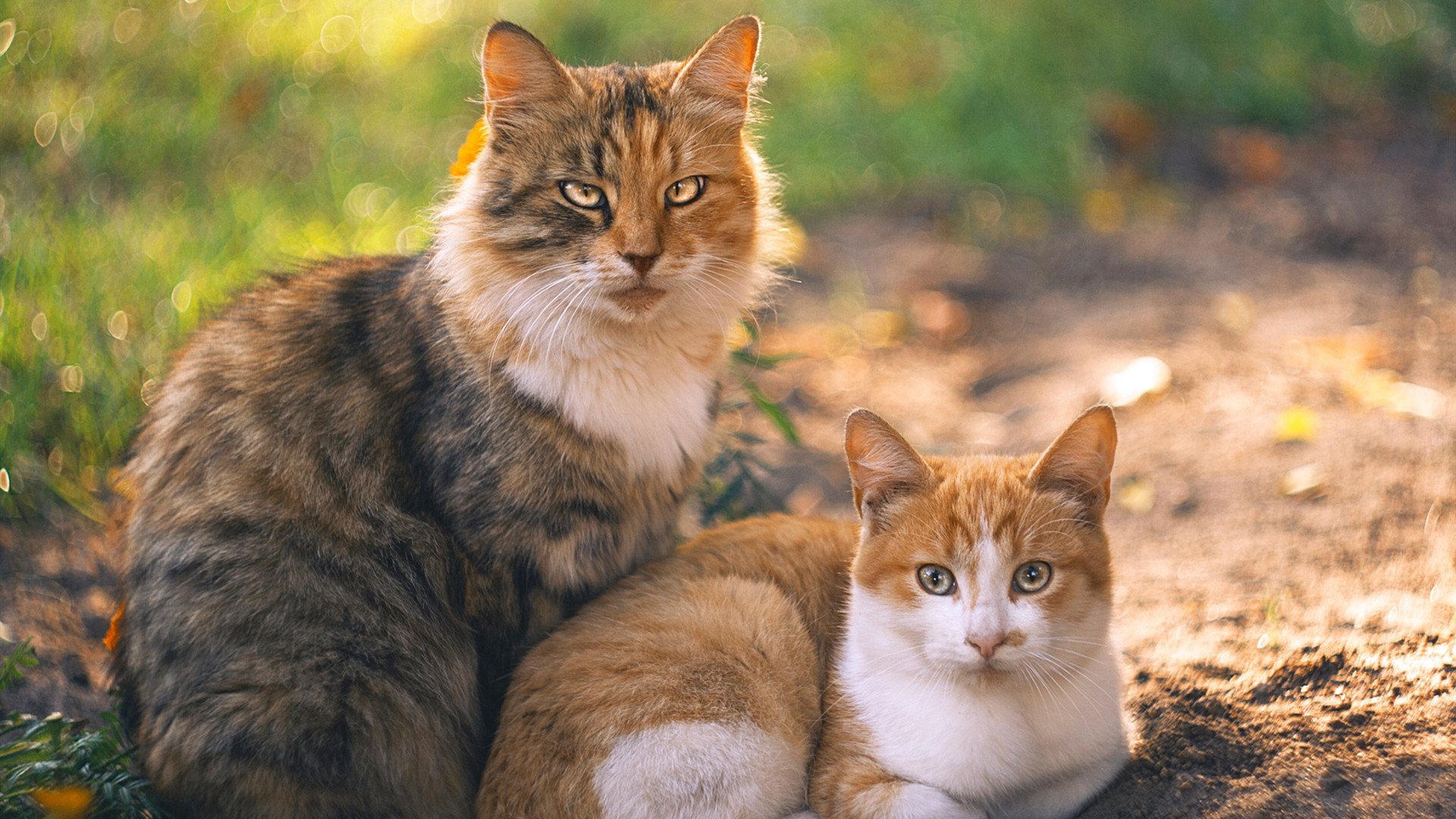 双星闪耀，萨卡爆发与比利亚雷亚尔绝杀，足球之夜诠释绿茵的戏剧张力