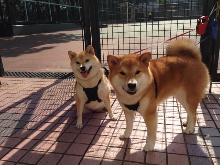 开云体育中国-巴尔韦德，站在棋盘边的弈者，皇家社会对阵巴拉圭的隐形导演