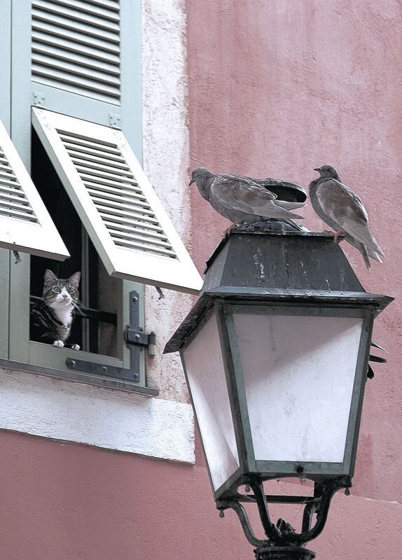 开云体育平台APP-世纪造星，加拿大碾压几内亚，姆巴佩终成关键先生