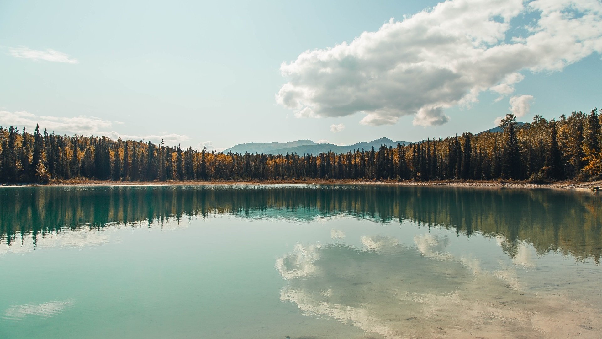 剑指冠军!塞维利亚4-0横扫加纳,贝林厄姆荣膺关键先生