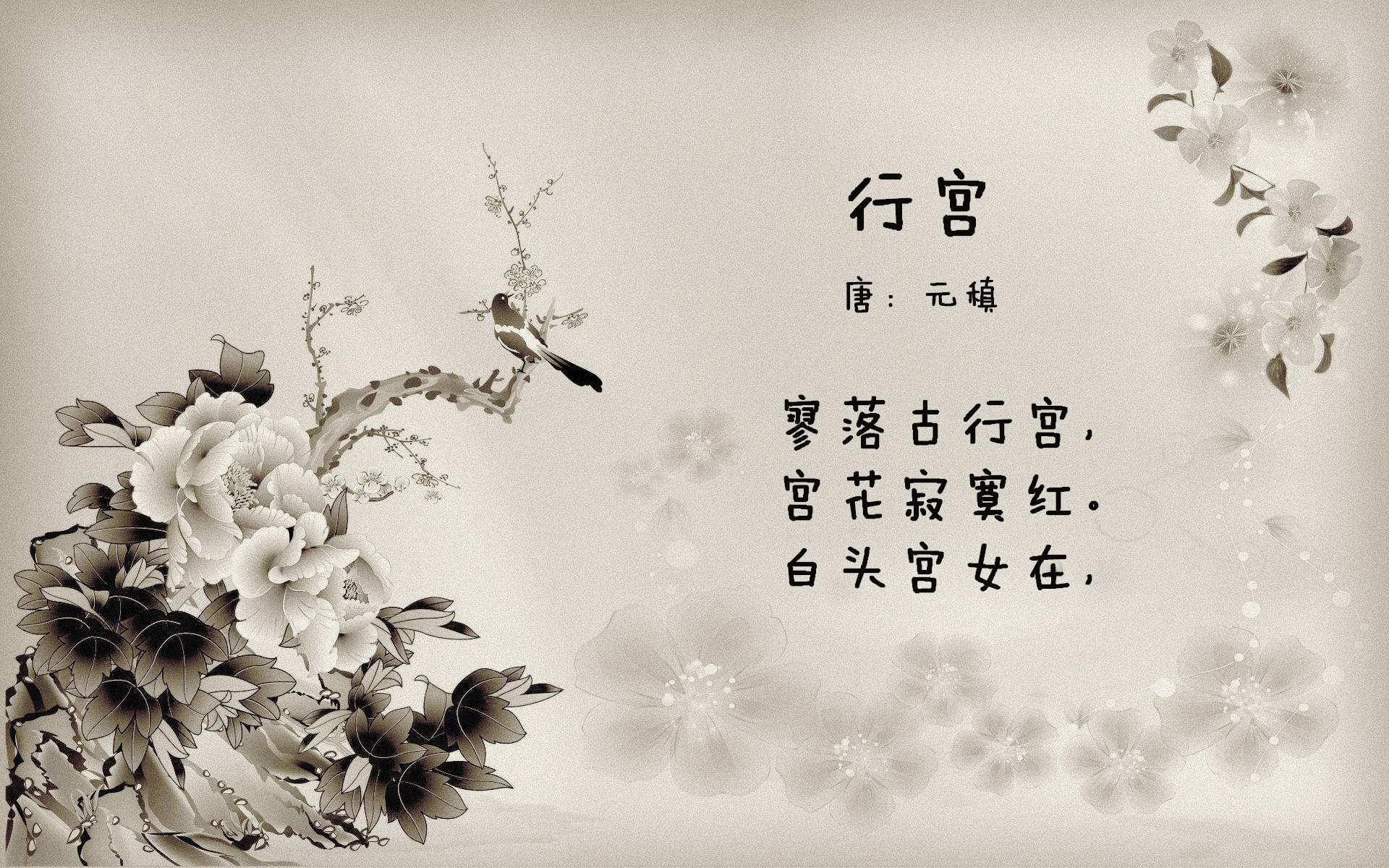 -2026世界杯焦点战，摩洛哥力克中国，争冠征程显峥嵘