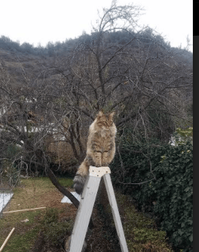 开云体育APP下载-北京队用铁壁铜墙压垮太阳！世界杯焦点战上演得分狂潮