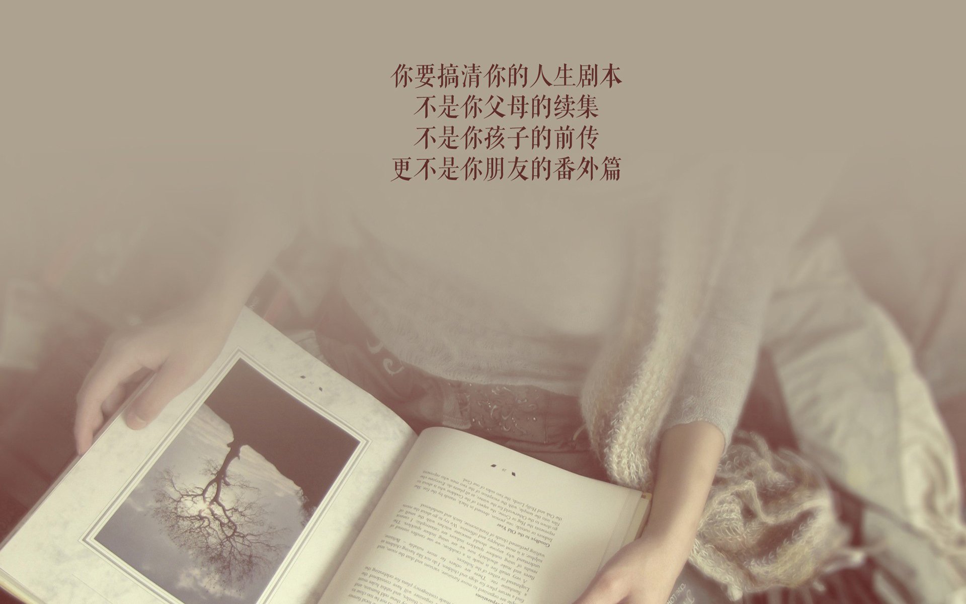 蓝衣军团的坚韧颂歌，莫德里奇奏响中场指挥家绝唱，韩国奇迹功亏一篑