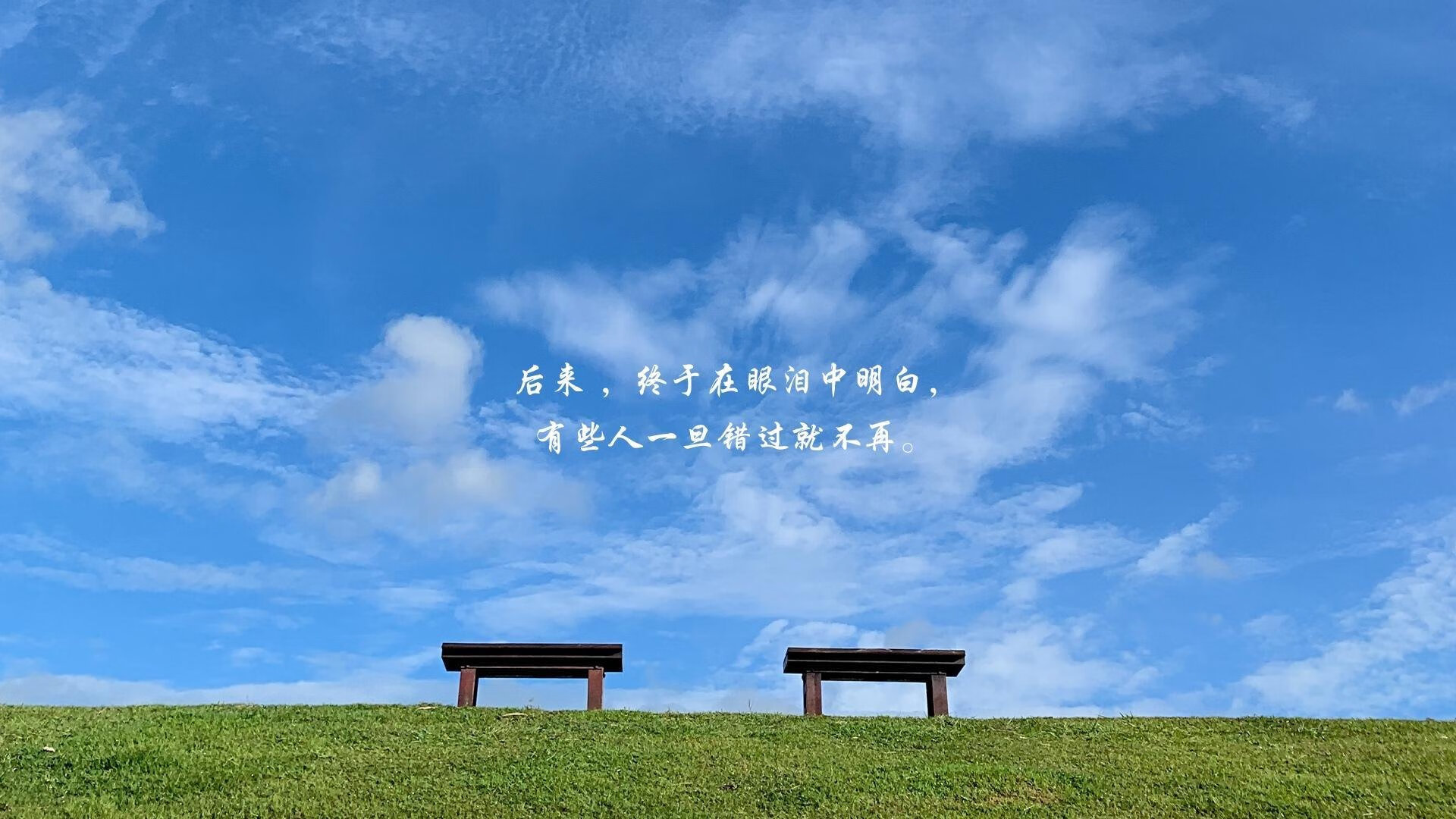 开云体育在线-斗牛士之刃，罗德里戈致命一击，西班牙力克加拿大，B组格局彻底改写