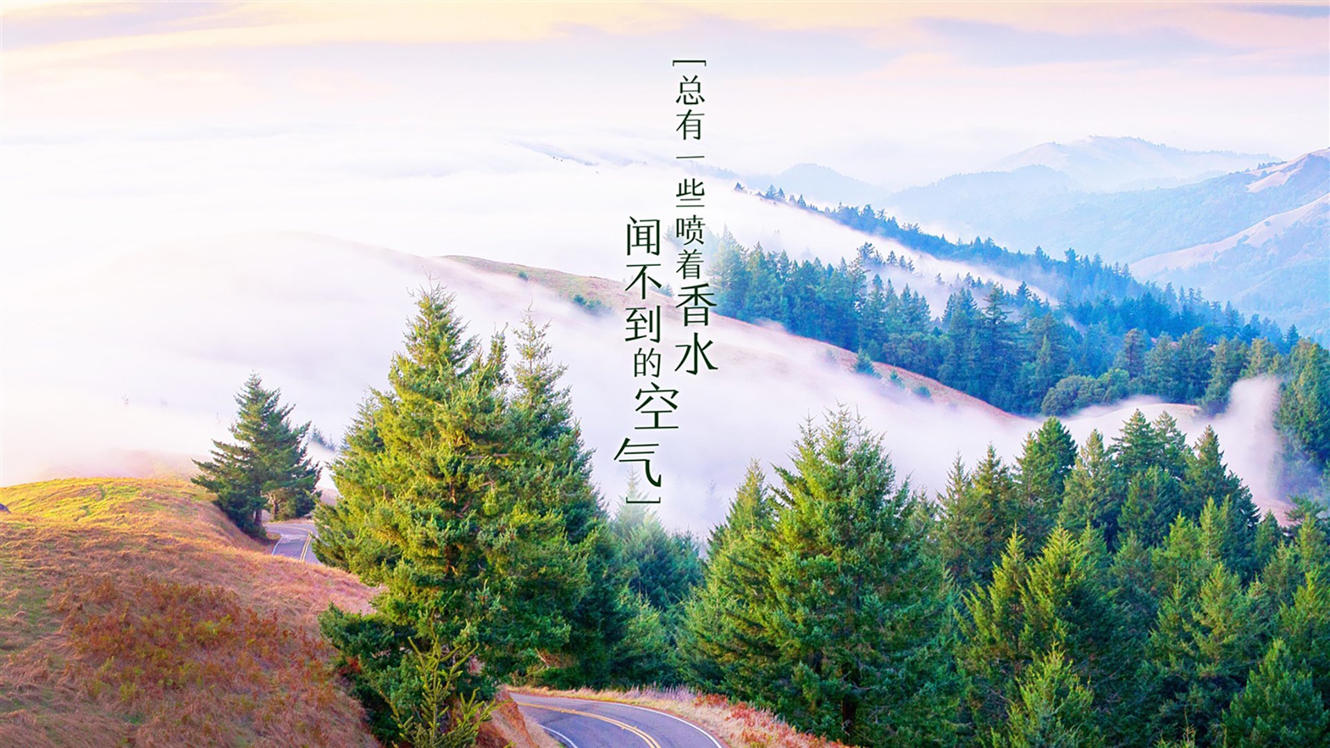 开云体育APP下载-东欧铁骑势不可挡，罗马尼亚横扫奥地利；魔笛传奇续写，克罗地亚D组突围占先机