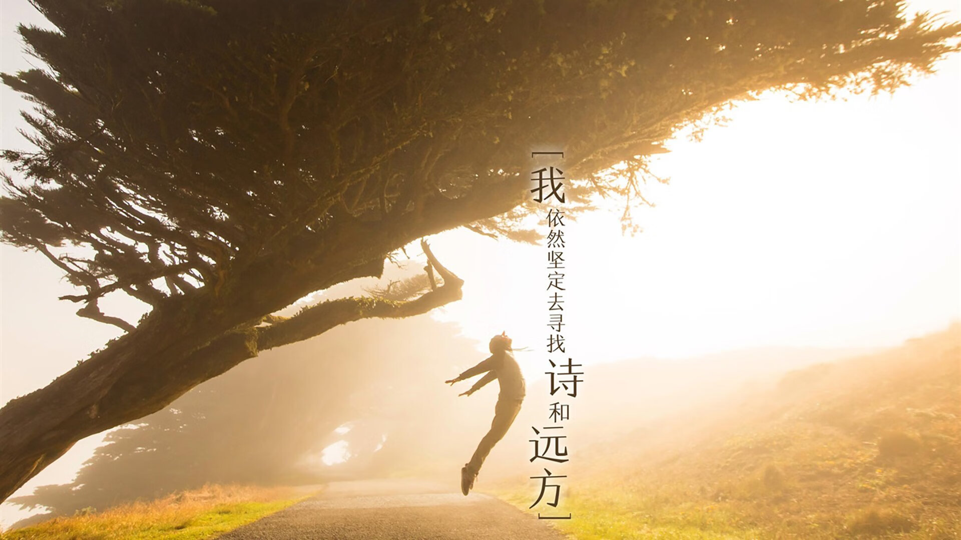 阿诺德导演攻防盛宴,波兰全场压制哥斯达黎加,F组格局骤变