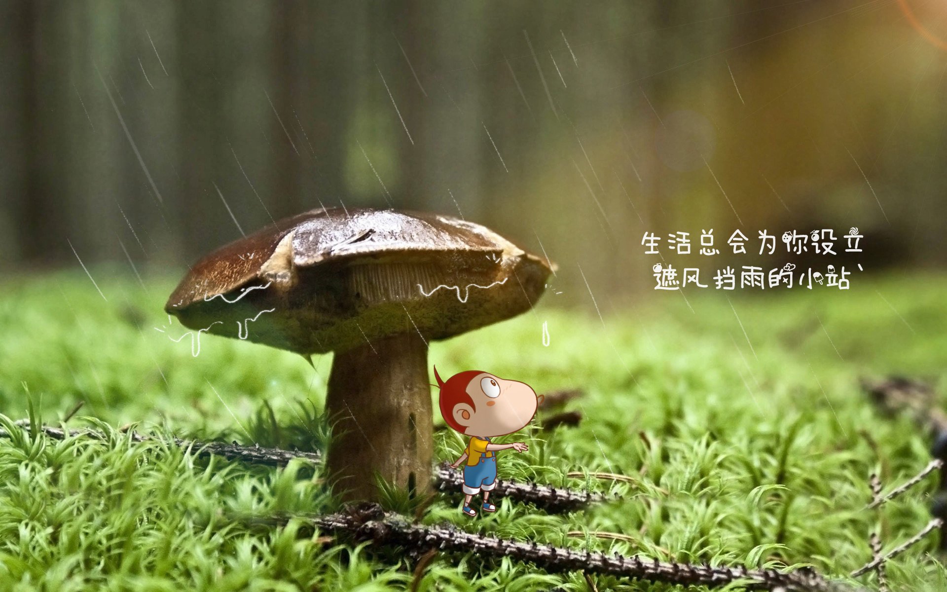 红魔觉醒,比利时力克澳大利亚,塔雷米闪耀全场引领默契风暴